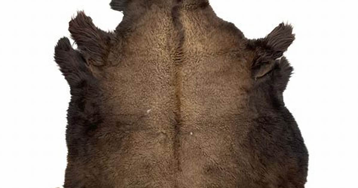 Buffalo Hide