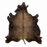 Buffalo Hide