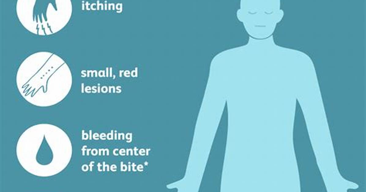 Bug Bite Symptom