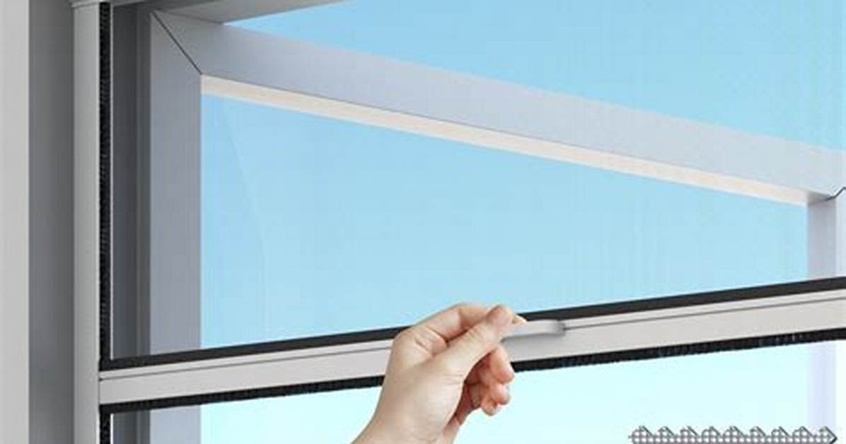Bug Screen Window