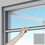 Bug Screen Window