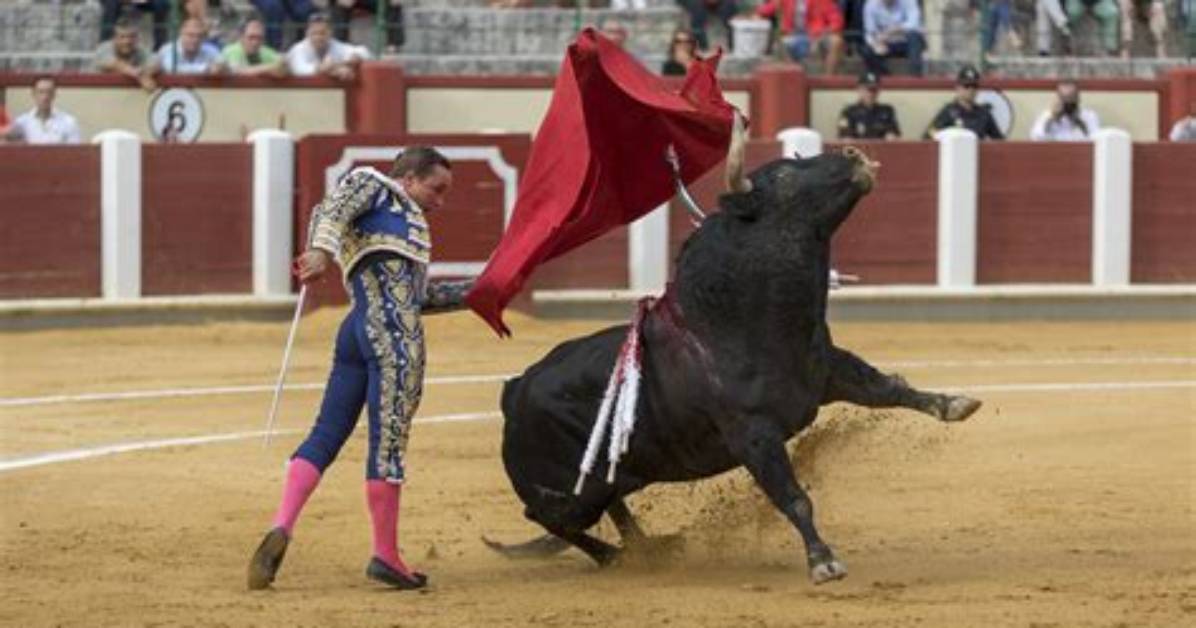 Bullfighter