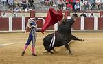 Bullfighter