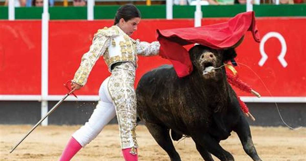 Bullfighting