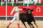 Bullfighting