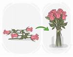 Bunch Meaning