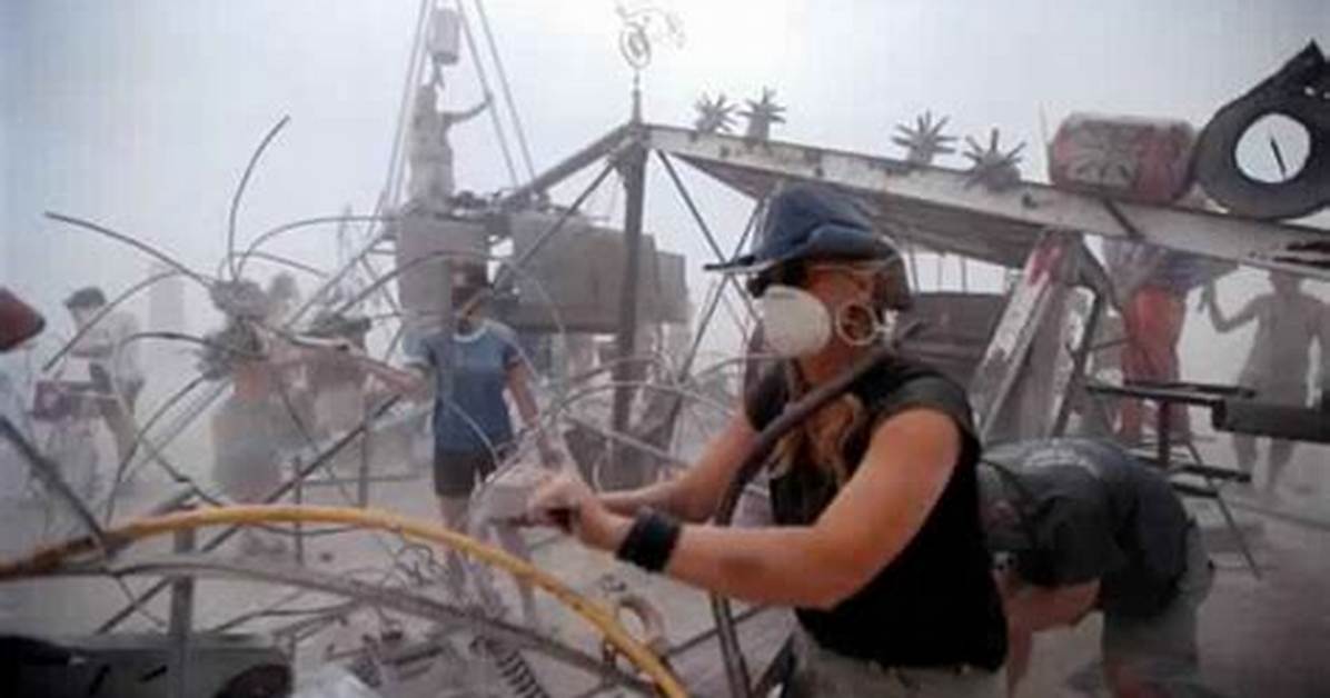 Burning Man Infested by Bugs