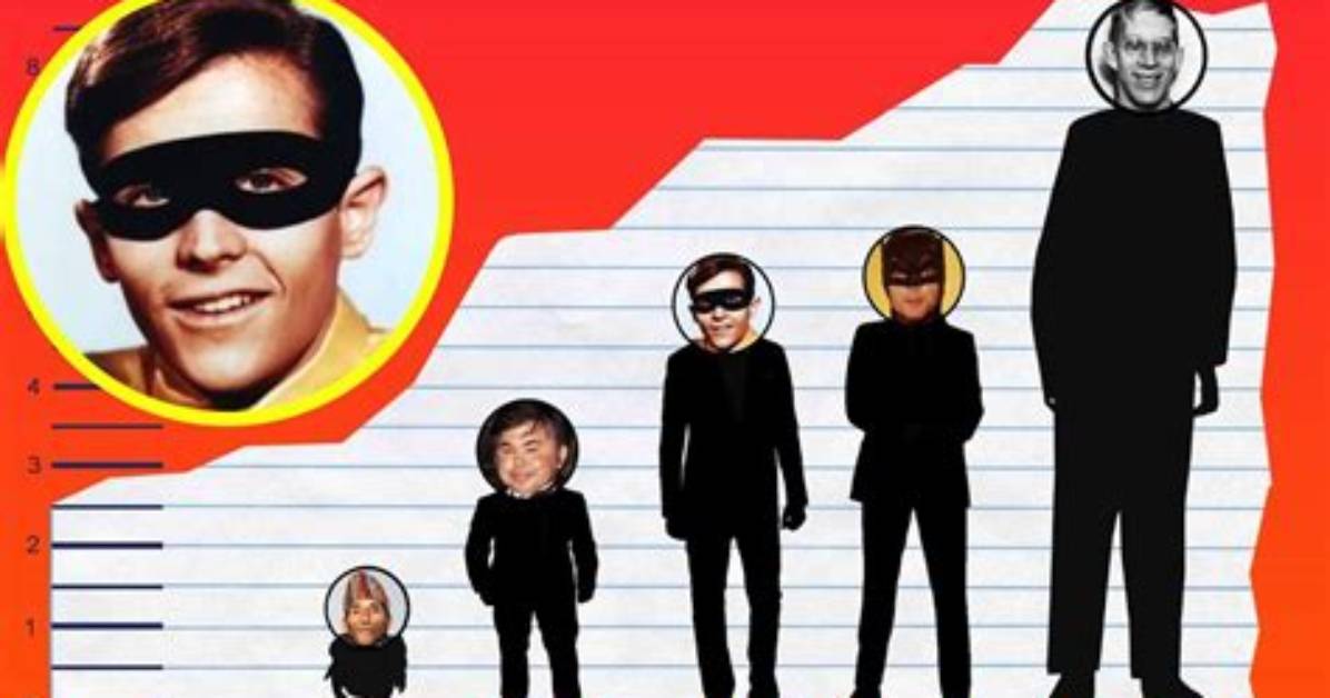 Burt Ward Height