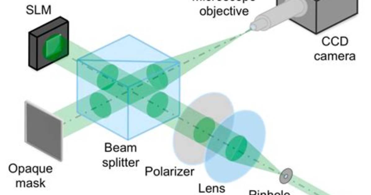 By a Spatial Light Modulator?