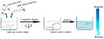 By Competitive Binding Assay?