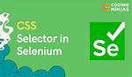 By Cssselector Selenium