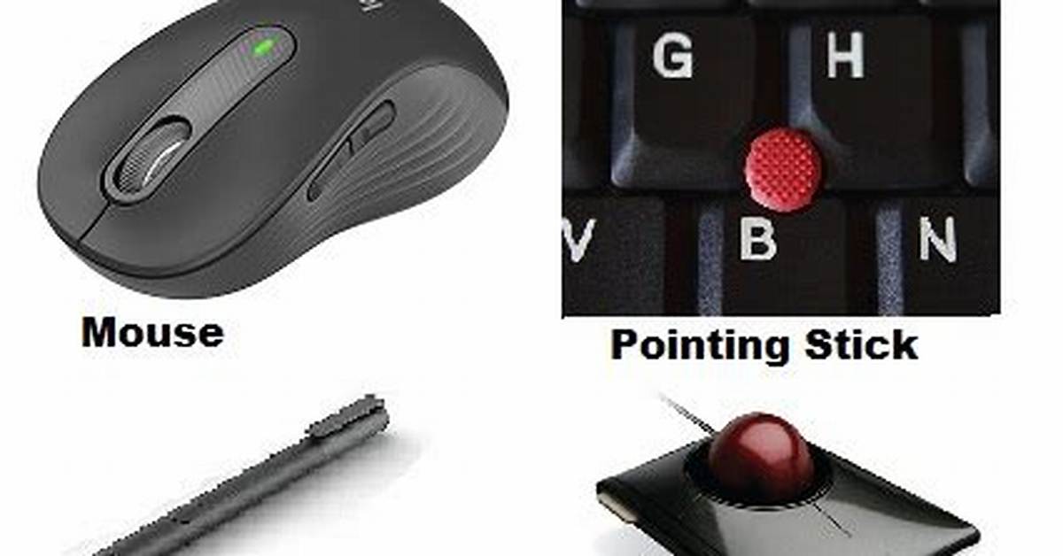 By Pointing Input Device?