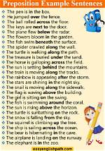 By Preposition Sentence Examples?