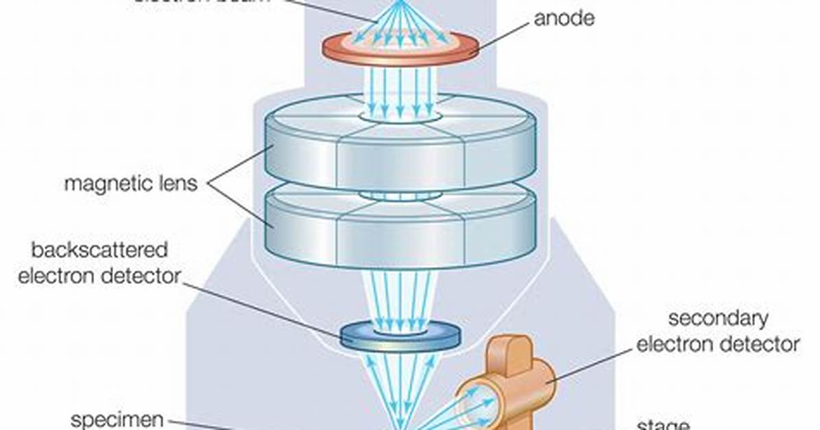By Scanning Electron Microscope?