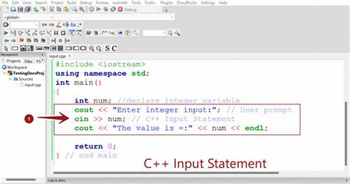 C++ Code Which Makes the User Input the Rows and Columns in a Multidimensional Array