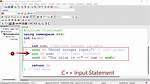 C++ Code Which Makes the User Input the Rows and Columns in a Multidimensional Array