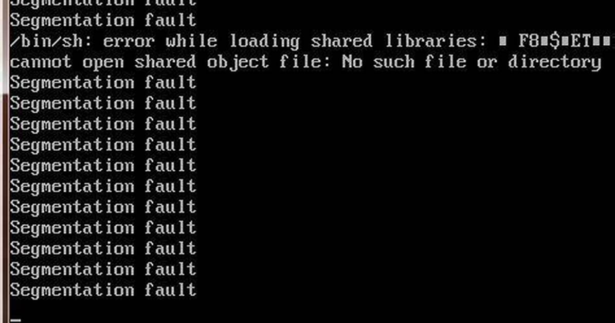 C Segmentation Fault When Accessing Array