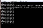 C Segmentation Fault When Accessing Array