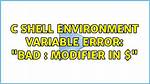 C Shell Environment Variable Error: "Bad: Modifier in $"