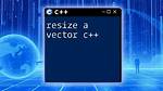 C++ Standard Vector Resize() Function