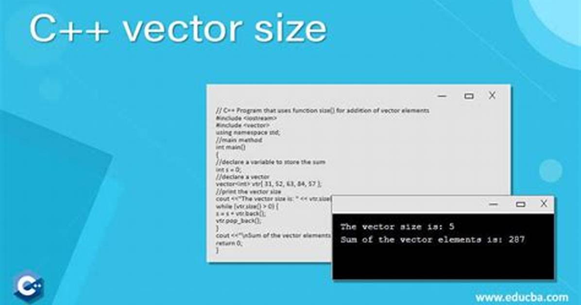 C++ Vector Size Types