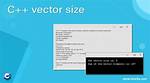 C++ Vector Size Types