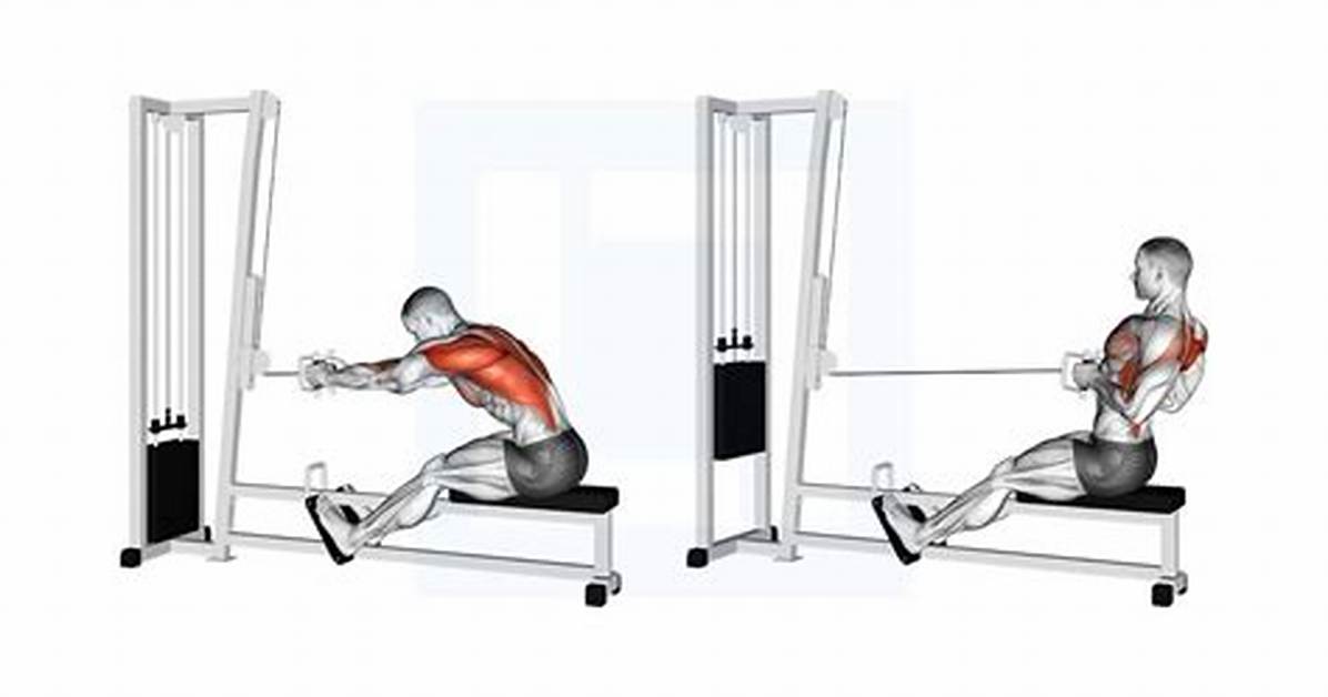 Cable Lat Row