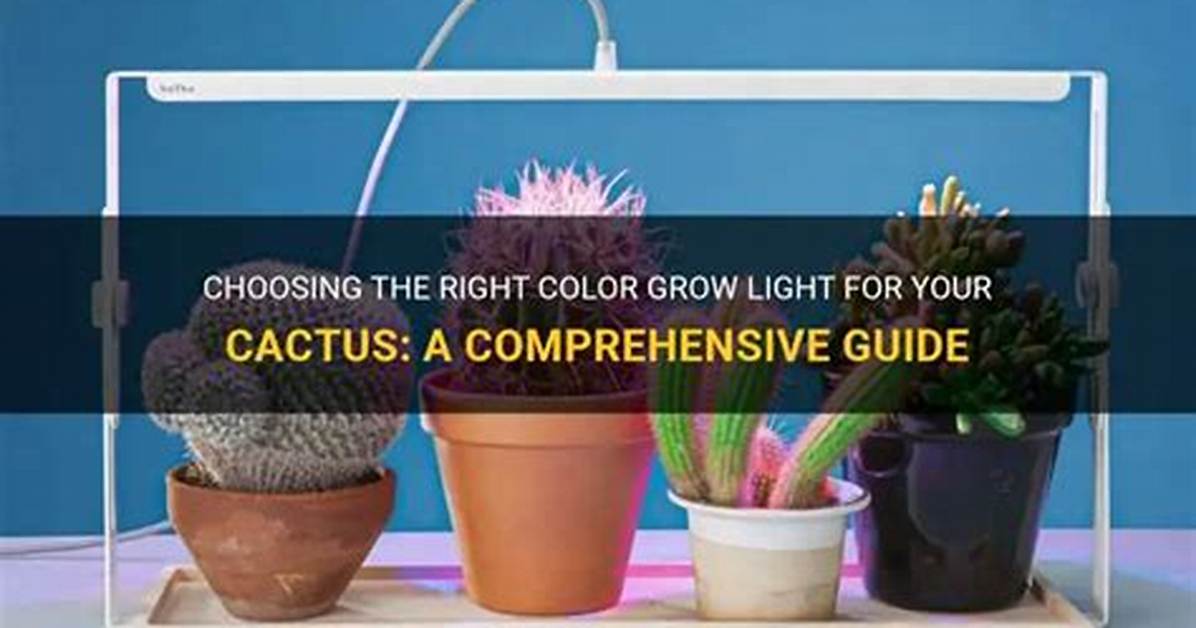 Cactus Light