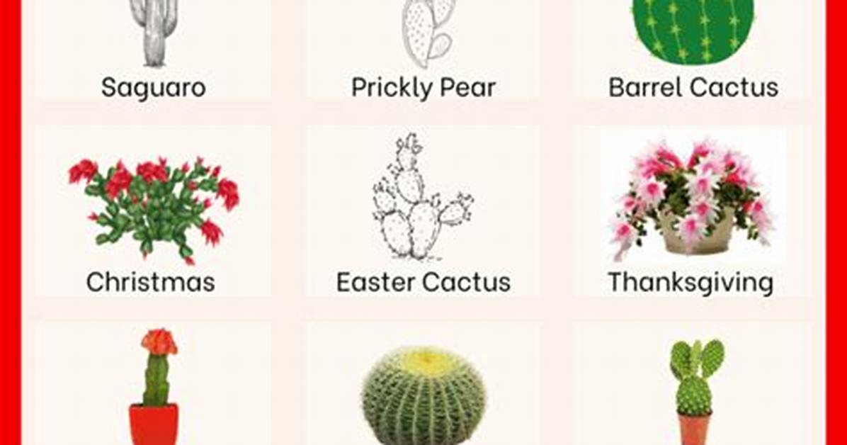 Cactus Names