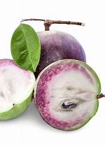 Caimito Fruit