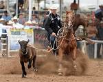Calf Roping