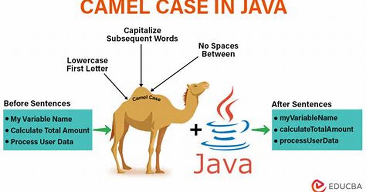 Camel Case Example
