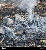 Campfire Remains