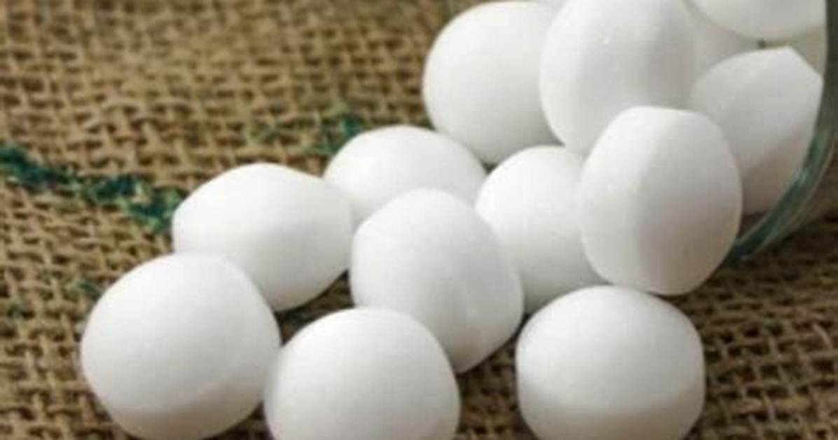 Camphor Balls