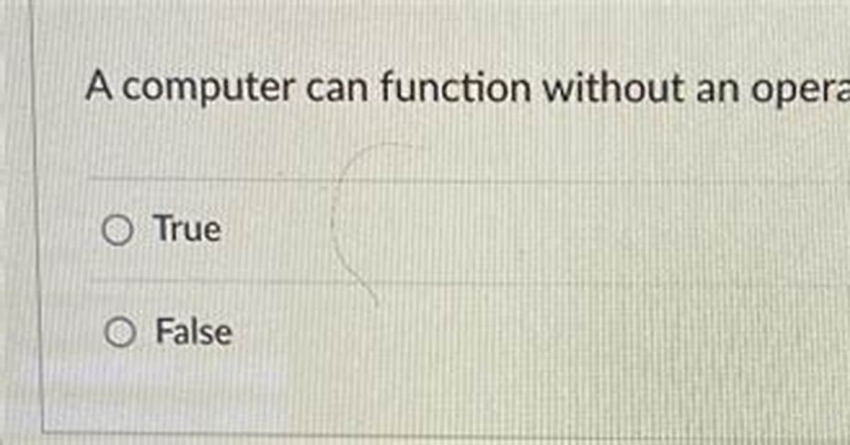 Can a Computer Function Without an Operating System?