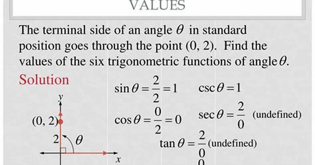 Can a Function Be Undefined?