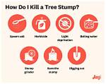 Can a Gopher Kill a Tree?