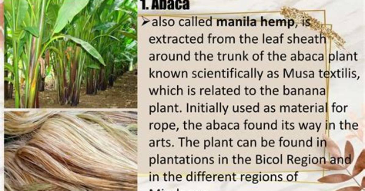 Can Abaca Be Washed?