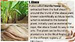 Can Abaca Be Washed?