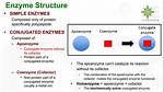 Can an Enzyme Function Without a Cofactor?