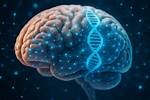 Can Behavior Be Genetic?