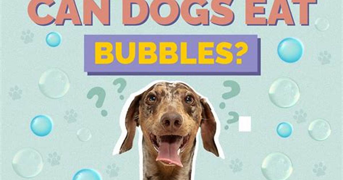 Can Bubbles Harm a Dog