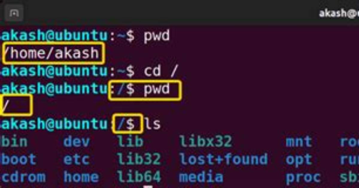 Can C# Application Run on Linux?