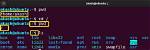 Can C# Application Run on Linux?