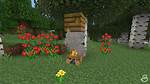 Can Campfires Kill Bees Minecraft?