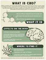 Can Cbd Be Psychoactive?