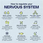 Can Cells Self Regulate?