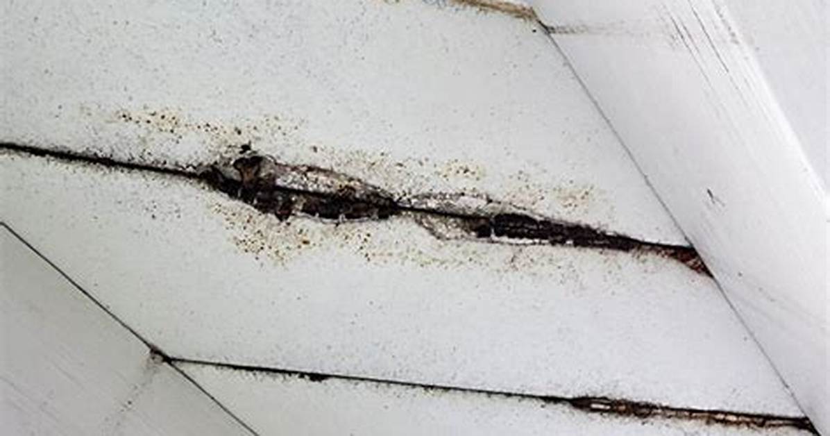 Can Composite Decking Rot