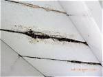 Can Composite Decking Rot
