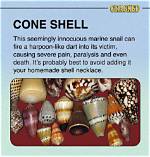 Can Cone Shells Kill You?